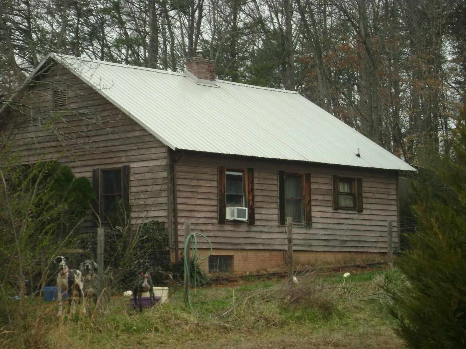 White metal roof on an old wood sided farmhouse, from a Asphalt Shingle Roof Repair job in Samaria